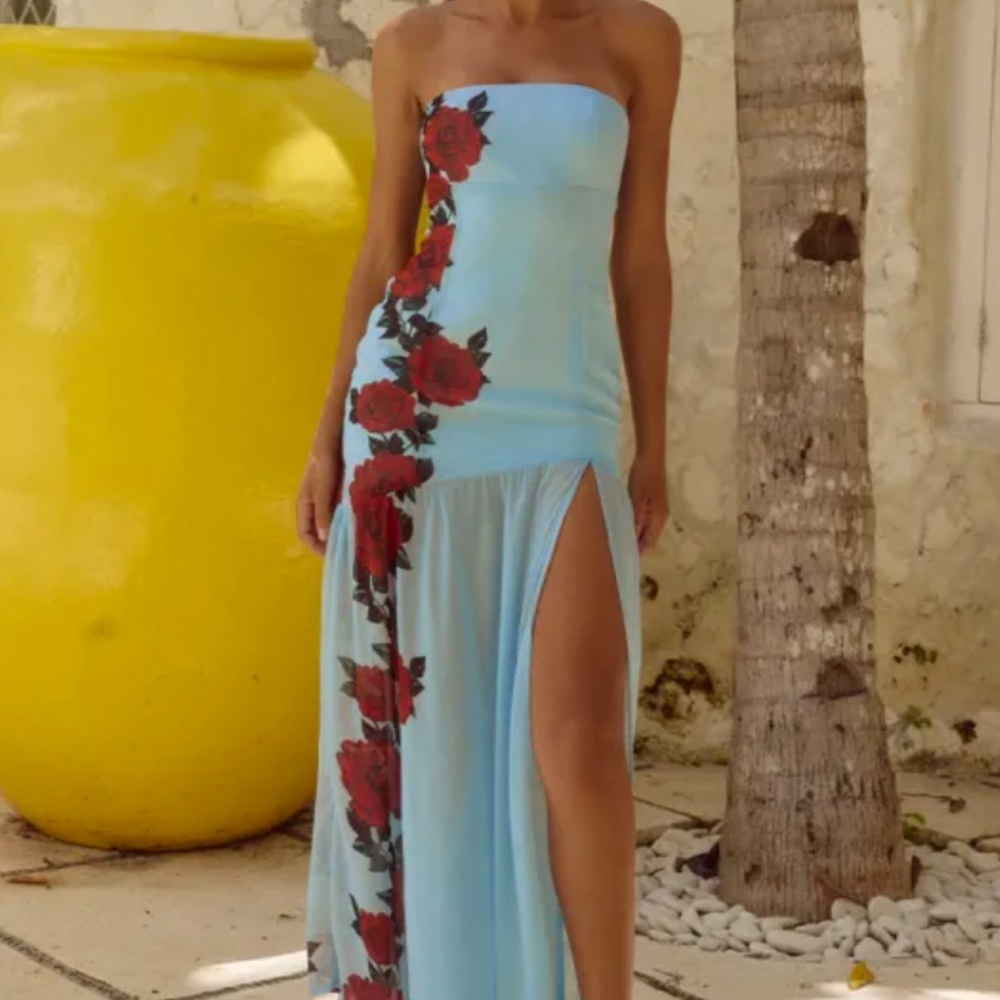 Runaway the label rose dress